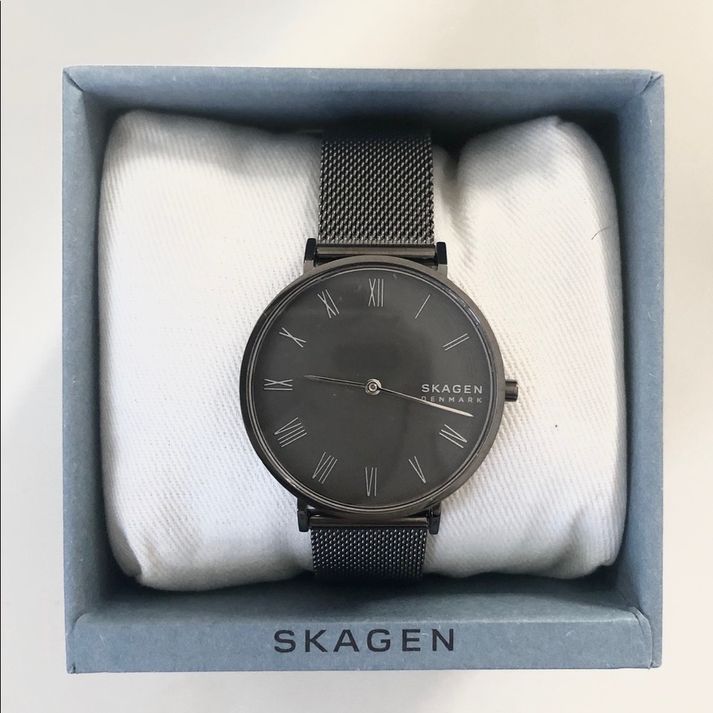 NWT Stainless steel Skagan women’s watch mesh band